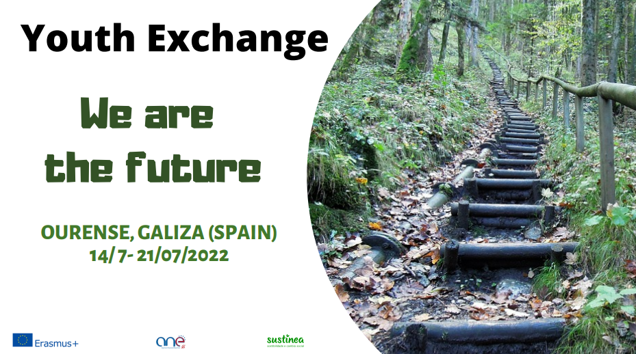 youth exchange